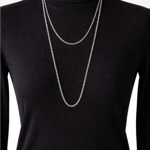 Elegant Signed Vintage Sarah co. Silver tone 2 Chain Necklace